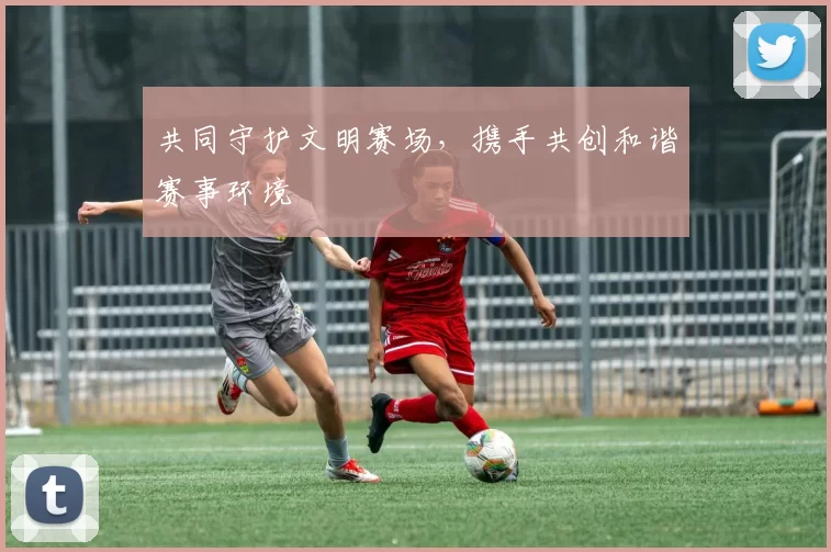共同守护文明赛场，携手共创和谐赛事环境